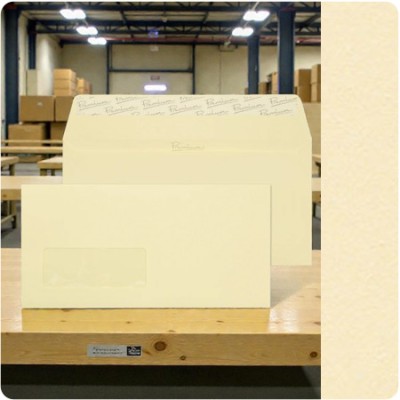 WINDOW Wove Vellum DL-110x220mm 120gsm - 500 Envelopes